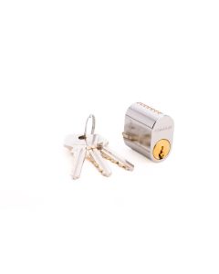 CYL 5537 STD DIFF PolChrome